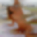 Swingers clubs Bensalem